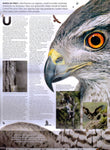 Birds of Prey u/m stamp presentation pack