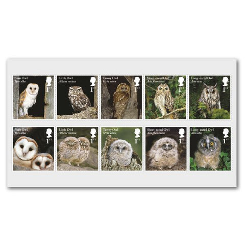 Owls Mint Stamp Set