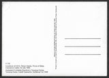 GB 2005 Castles High Values Caernarvon Castle stamp maxi card