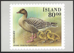 1990 Iceland Birds stamp postcards